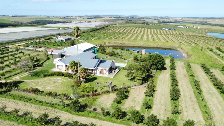 8 Bedroom Property for Sale in George Rural Western Cape